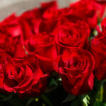 Букет из 25 красных роз (Эквадор, 70 см) — изображение 3