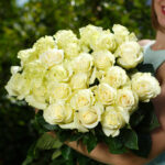 Букет из 25 белых роз (Эквадор, 70 см)