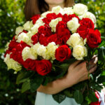 Красные и белые розы Эквадор букет