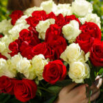 Букет из 51 красной и белой розы (Эквадор, 70 см) — изображение 4