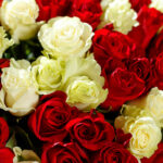 Букет из 51 красной и белой розы (Эквадор, 70 см) — изображение 6