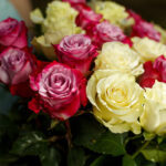 Букет из 25 роз нежный микс (Эквадор, 50 см) — изображение 5