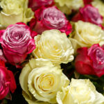 Букет из 25 роз нежный микс (Эквадор, 50 см) — изображение 2