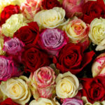 Букет из 101 розы микс (Эквадор, 50 см) — изображение 4