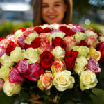 Букет из 101 розы микс (Эквадор, 50 см) — изображение 6