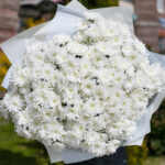 Белая кустовая хризантема