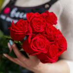 Красная роза крупный бутон