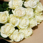 Белые розы крупный бутон