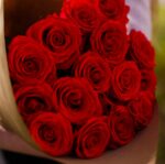 Оранжевая роза сорта Нина