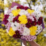 Букет из 25 кустовых хризантем яркий микс — изображение 2