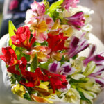 Букет из 5 альстромерий микс — изображение 2