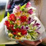 Букет из 5 альстромерий микс — изображение 3