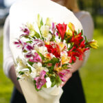 Букет из 5 альстромерий микс — изображение 4