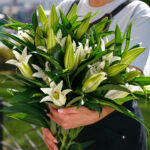 Белая лилия фото