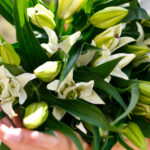 Букет из 7 белых лилий — изображение 5