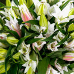 Букет из 9 лилий микс — изображение 6