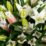 Букет из 9 лилий микс — изображение 8