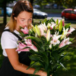 Букет из 7 лилий микс — изображение 5