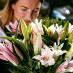 Букет из 7 лилий микс — изображение 6