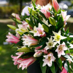 Букет из 7 лилий микс — изображение 7