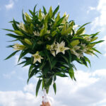 Букет из 9 белых лилий — изображение 2