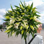 Букет из 9 белых лилий