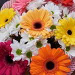 Букет из гербер микс и кустовых хризантем — изображение 5