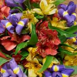 Букет из ирисов и альстромерии микс размера S — изображение 5