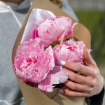 букет пионов Сара Бернар
