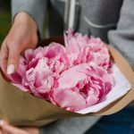 3 розовых пиона