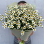 Букет из 9 матрикарий в стильной упаковке — изображение 6