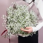 11 веток белой гипсофилы