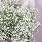 Букет из 11 веток гипсофилы — изображение 3