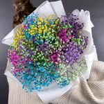 разноцветная гипсофила в упаковке