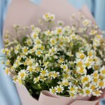 Букет из 9 матрикарий в стильной упаковке — изображение 5