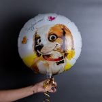 Шарик фольгированный повод Поздравляю , 1 штука