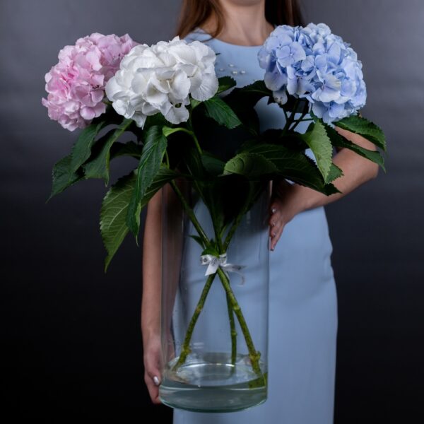 букет гортензий в вазе