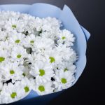 букет ромашек в голубой пленке