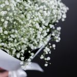 Букет из 7 веток белой гипсофилы — изображение 3