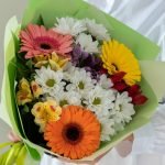 герберы и альстромерия