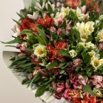 Букет из 51 альстромерии микс — изображение 4