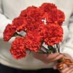 Гвоздика красная, 10 штук