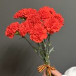 Гвоздика красная, 10 штук — изображение 4