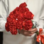 красная гвоздика 15 штук