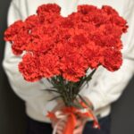 букет красных гвоздик 25 штук