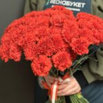 Гвоздика красная поштучно