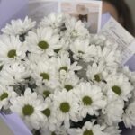 Букет из 7 белых кустовых хризантем — изображение 2