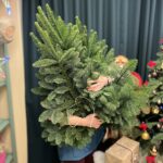 Банч нобилиса 5 кг датской пихты — изображение 2