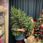 Банч нобилиса 5 кг датской пихты — изображение 3