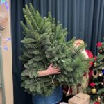 Банч нобилиса 5 кг датской пихты